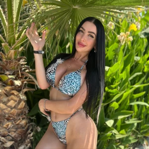 Anelinsa