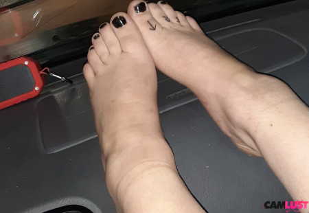 KING DADDY AND KITTEN