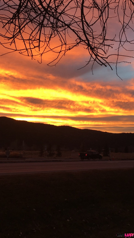 Lacy Love and Master