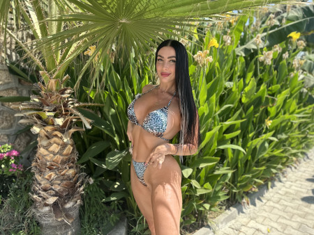 Anelinsa