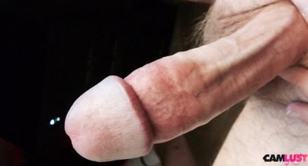 beautifulpurplemushroomhead